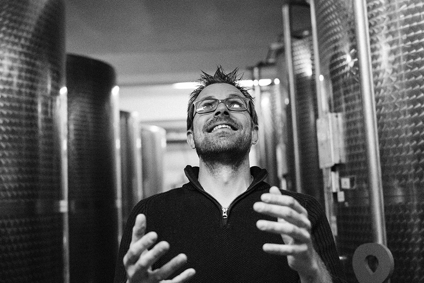 Photographie Vignobles & Compagnie