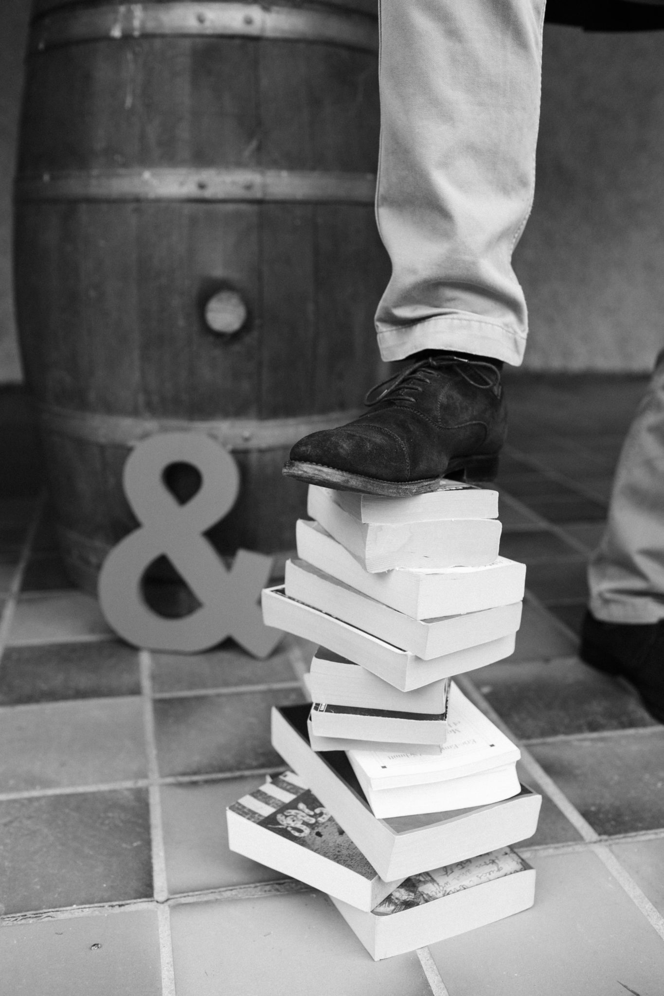 <b>Photographie</b> <br><i>Vignobles & Compagnie</i>