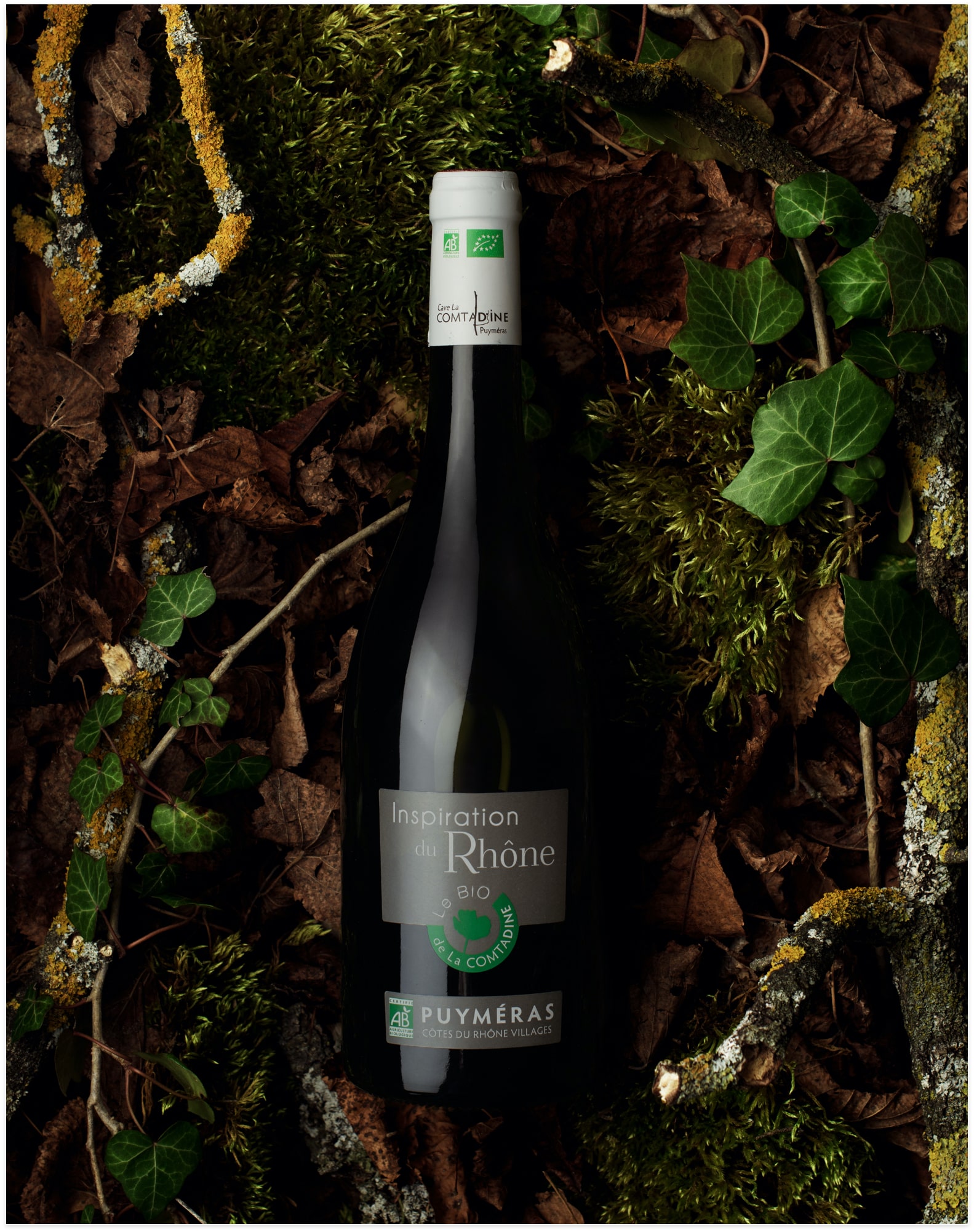 vin-comtadine-4 <b>Packaging & Photographie</b> <br><i>Cave la Comtadine</i>