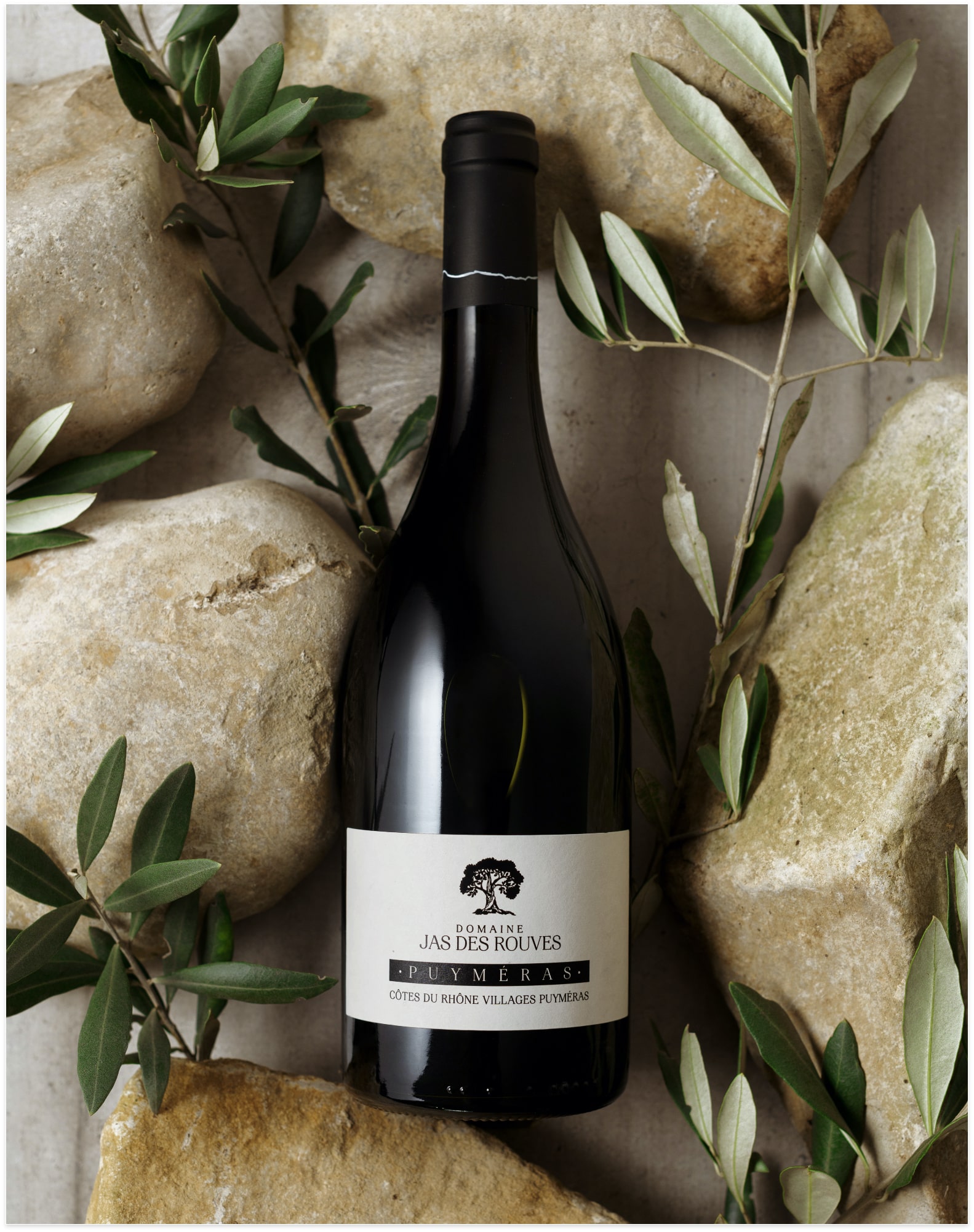 vin-comtadine-5 <b>Packaging & Photographie</b> <br><i>Cave la Comtadine</i>