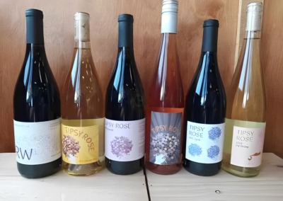 Vins